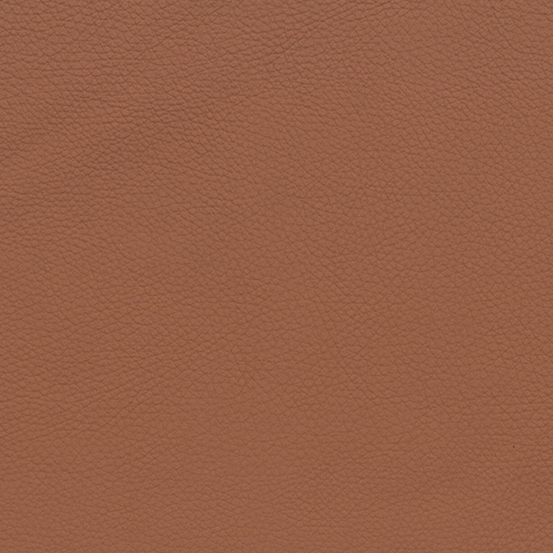  BMW Leder | Dakota terracotta