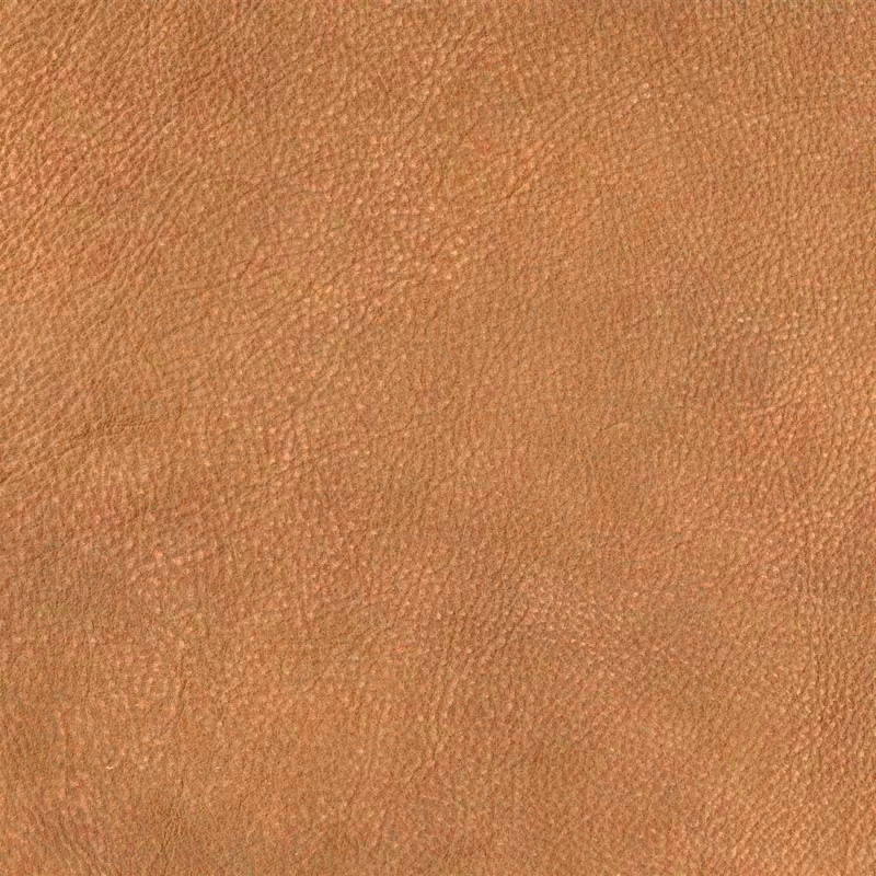  Nevada | Wasserbüffelleder Vintage goldfish