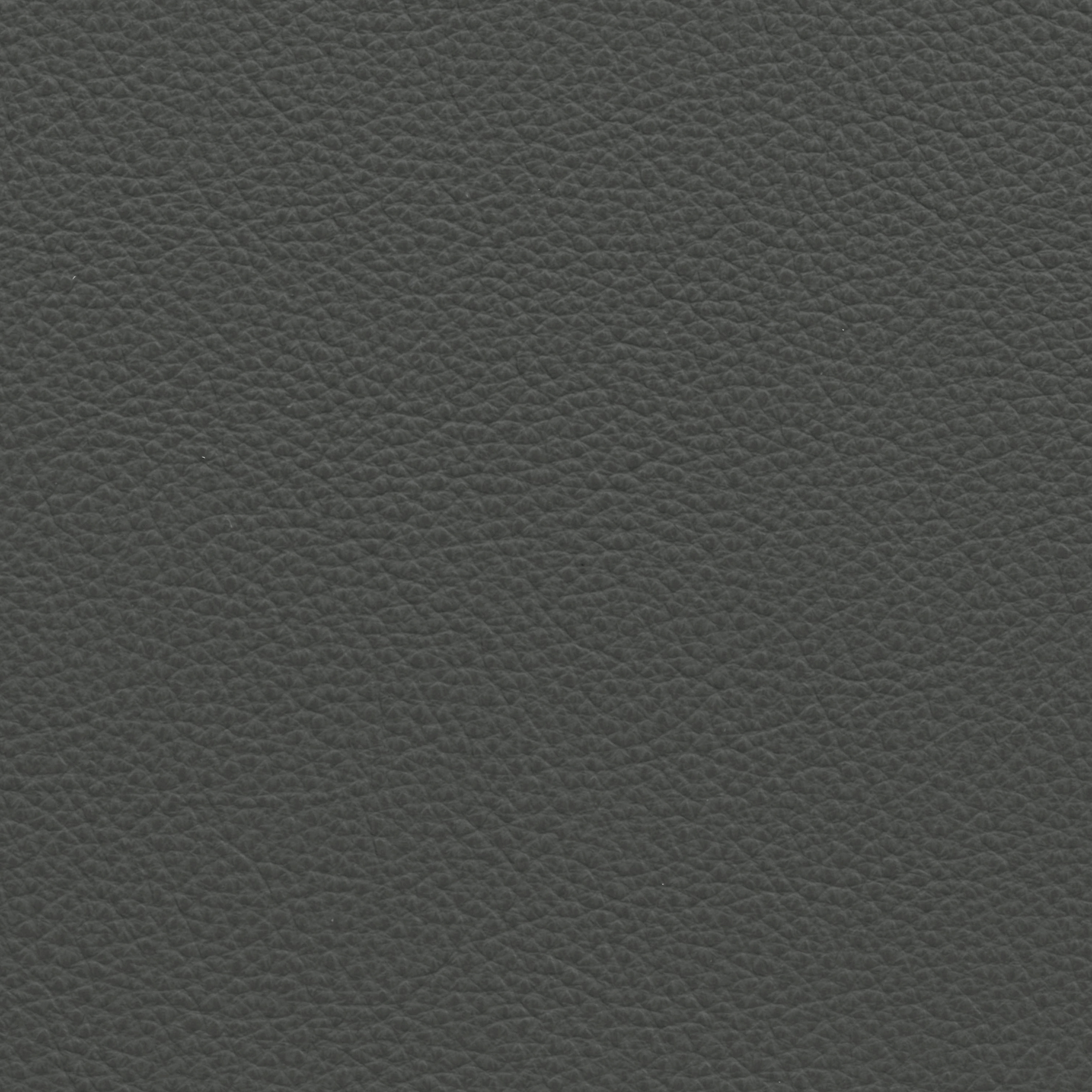  Paris | Rindleder schwarzgrau