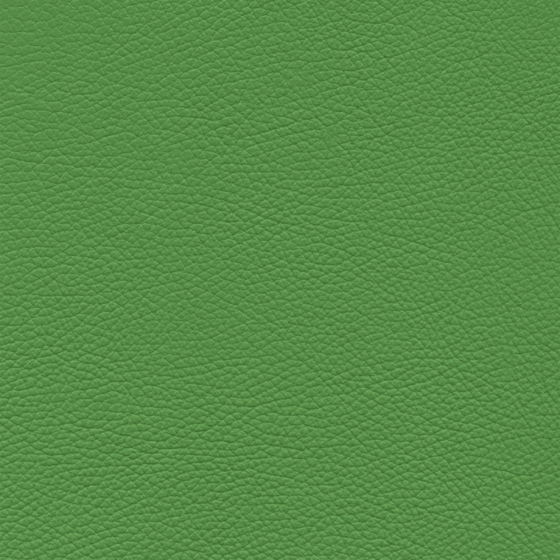  Frisco | Echtes Rindsleder green earth