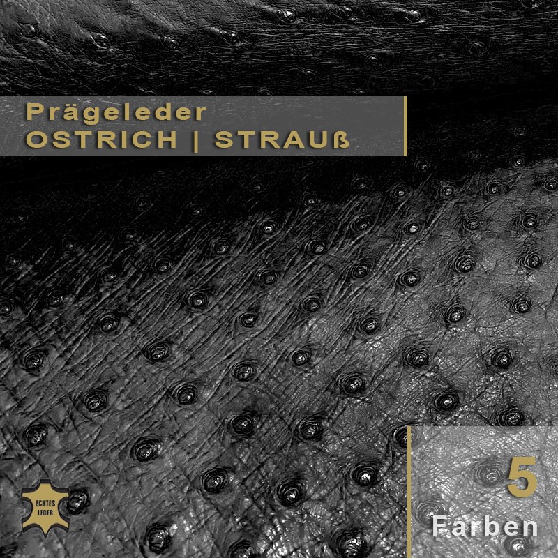 Nappa-Leder Straußenoptik