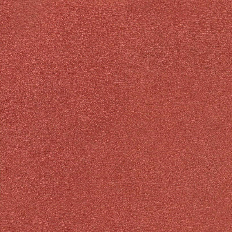  VEGGI | Bioleder blutorange