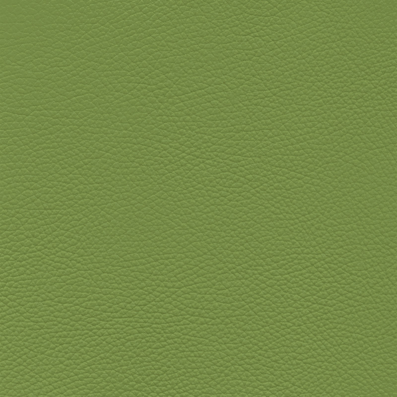  Frisco | Echtes Rindsleder light green