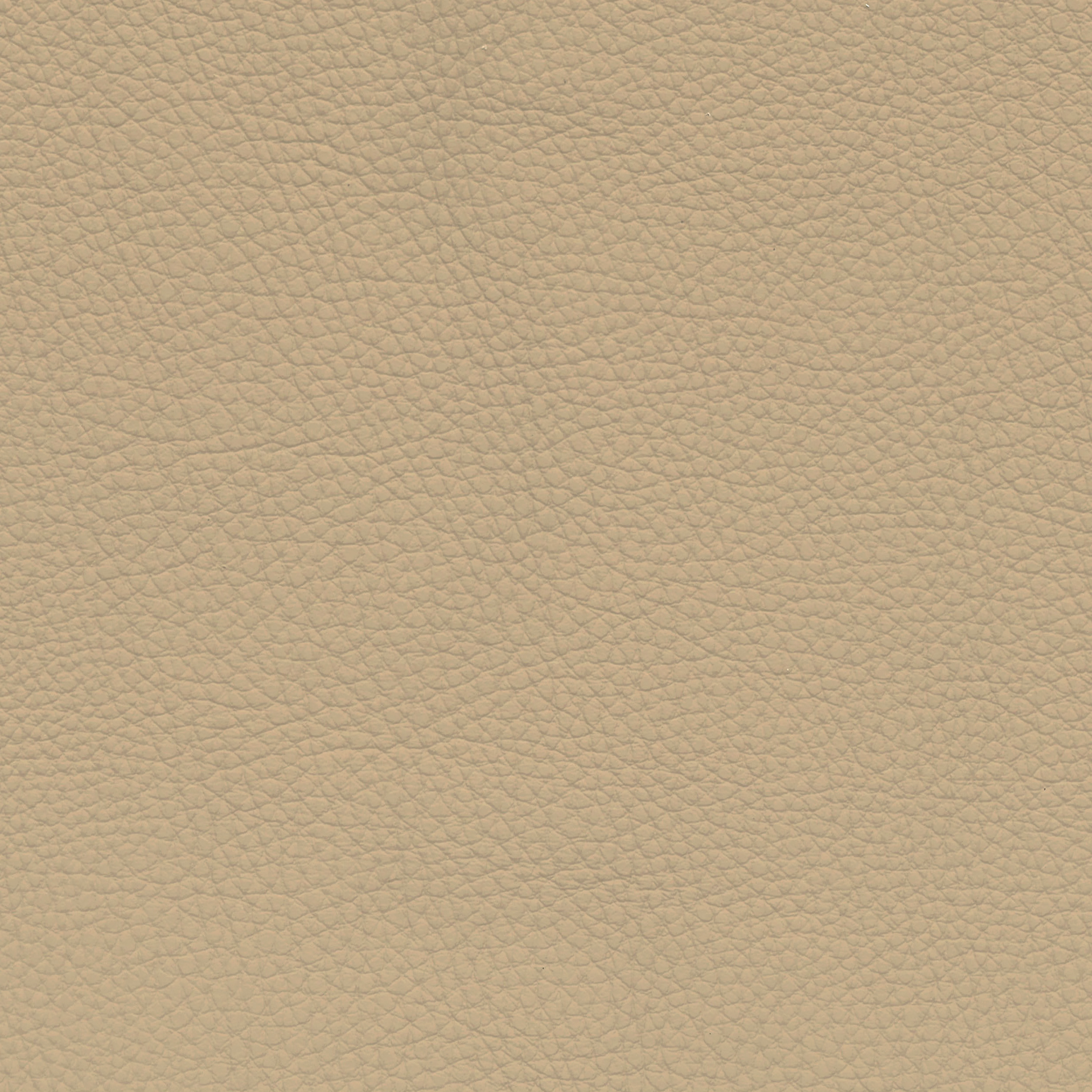  BMW Leder | Dakota venetobeige V2