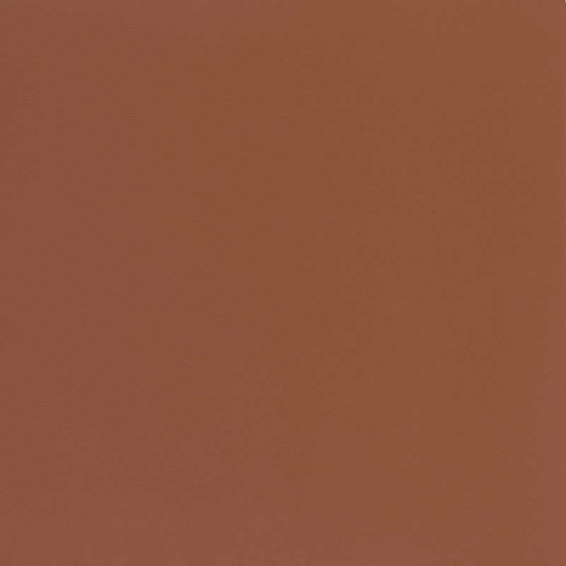  BMW Nappa | Autoleder zimt