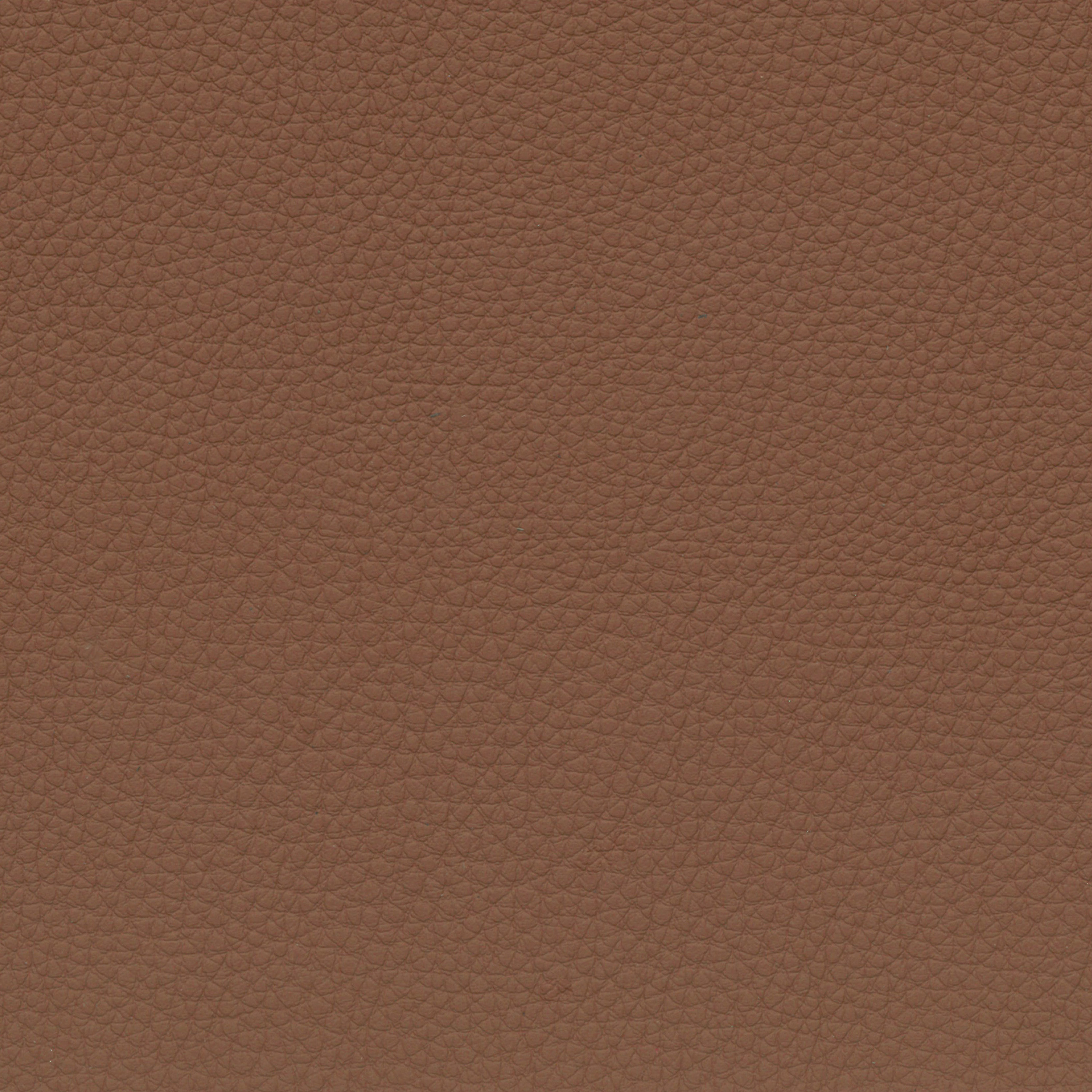  BMW Leder | Dakota sattelbraun V2