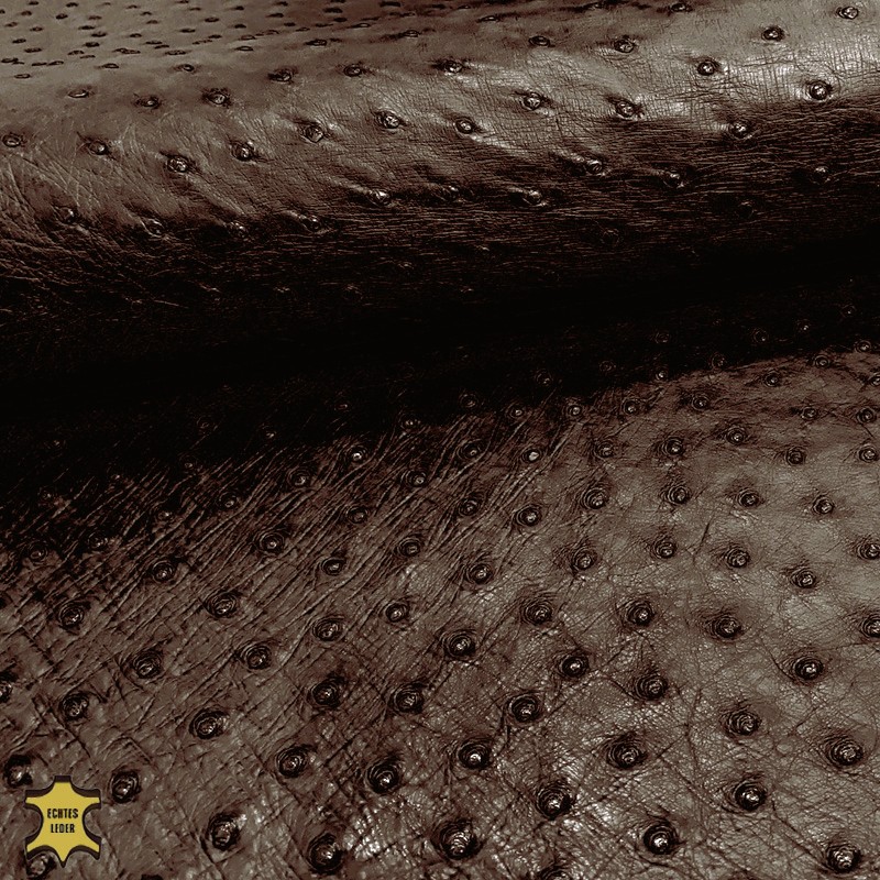  Straußoptik | Ostrichoptik Nappaleder cedar