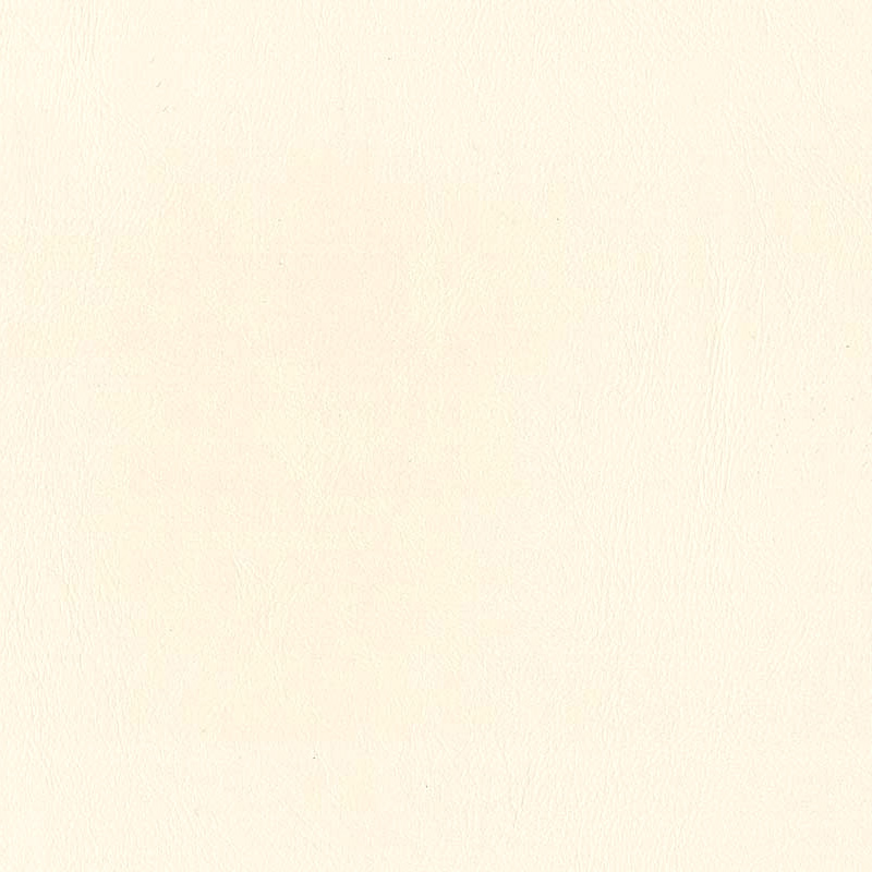  Praxis | Kunstleder perchament white