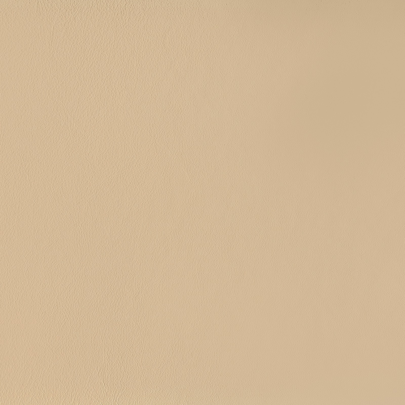  Original Audi FN (Fine Nappa) | Autoleder OEM Qualität samtbeige