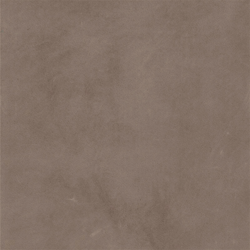  Verginia | Pullup gray brown