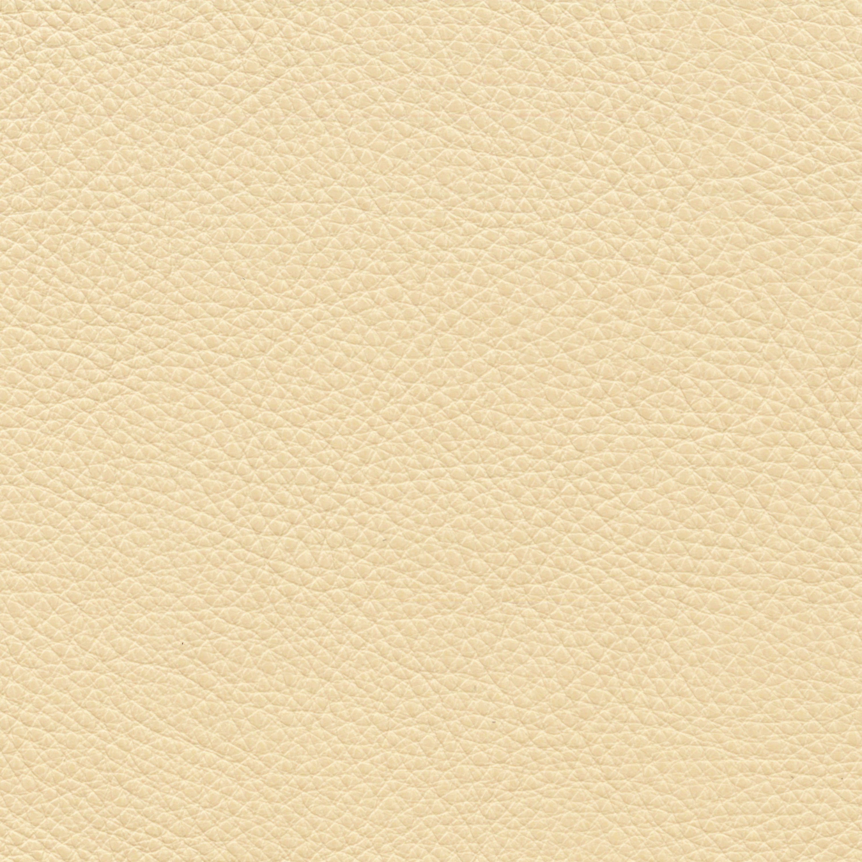  Paris | Rindleder creme