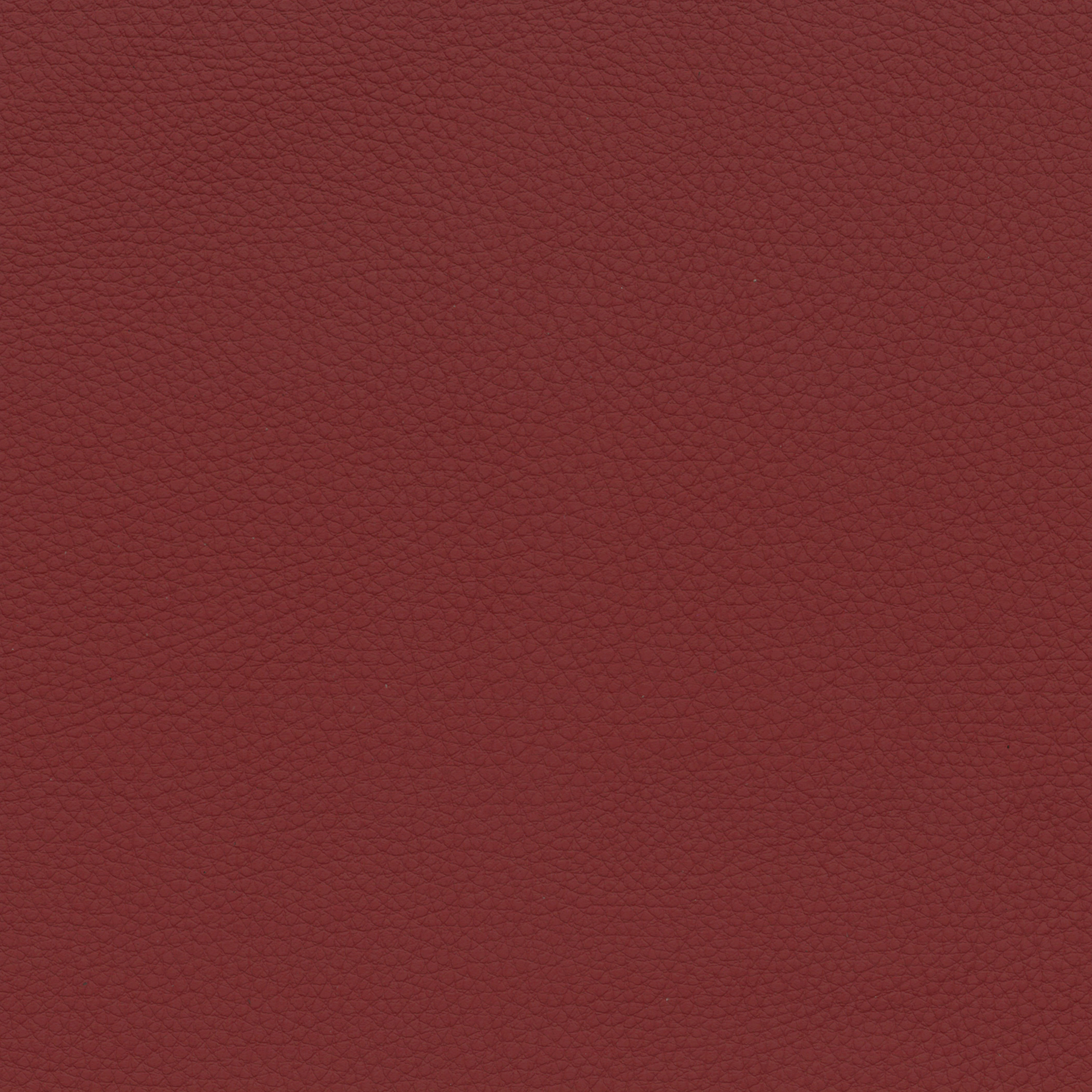  BMW Leder | Montana taninrot