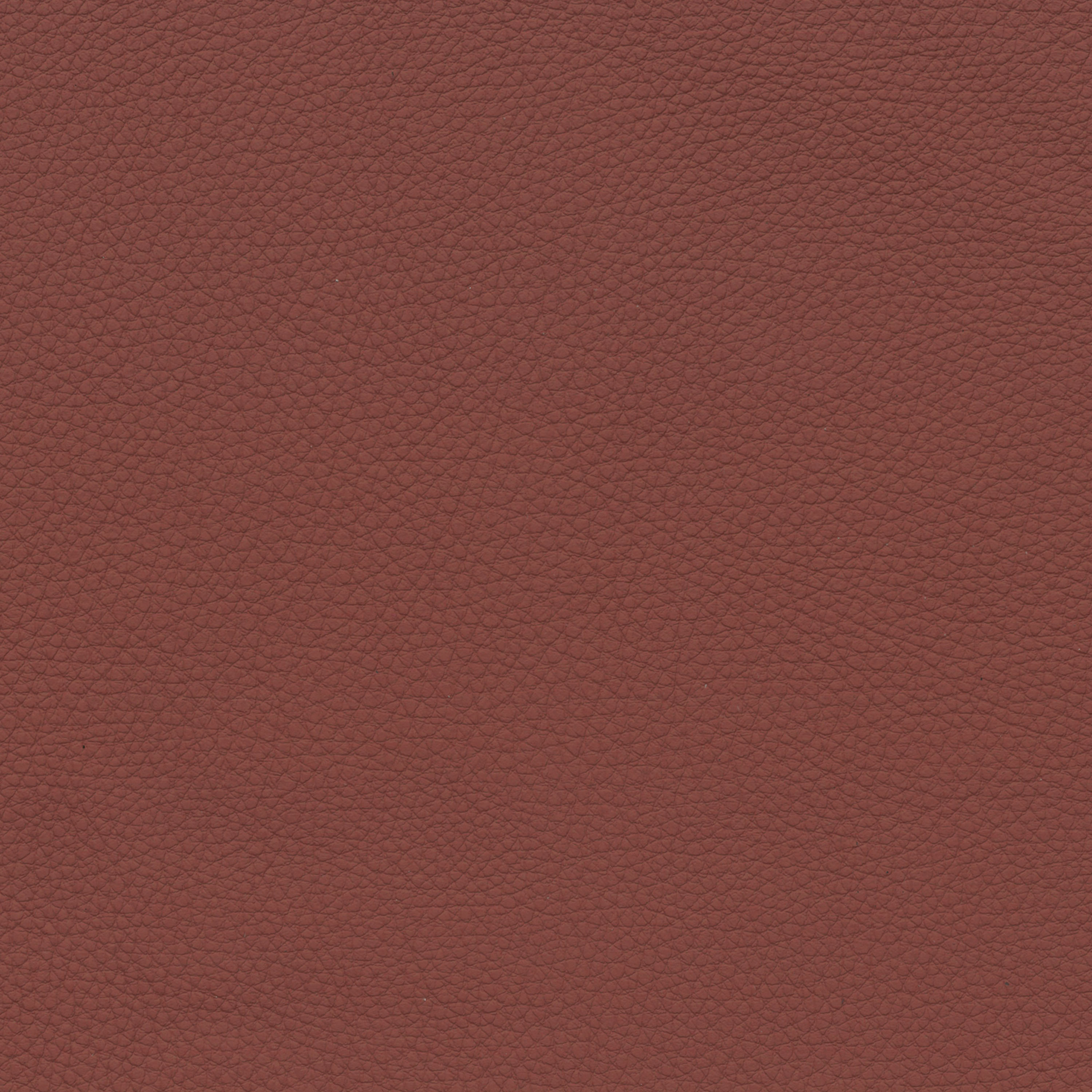  BMW Leder | Dakota rotbraun