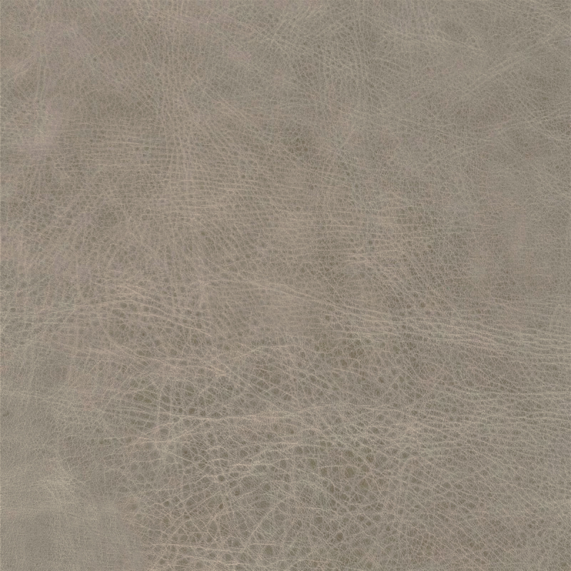  Wildlife | Rindleder gray