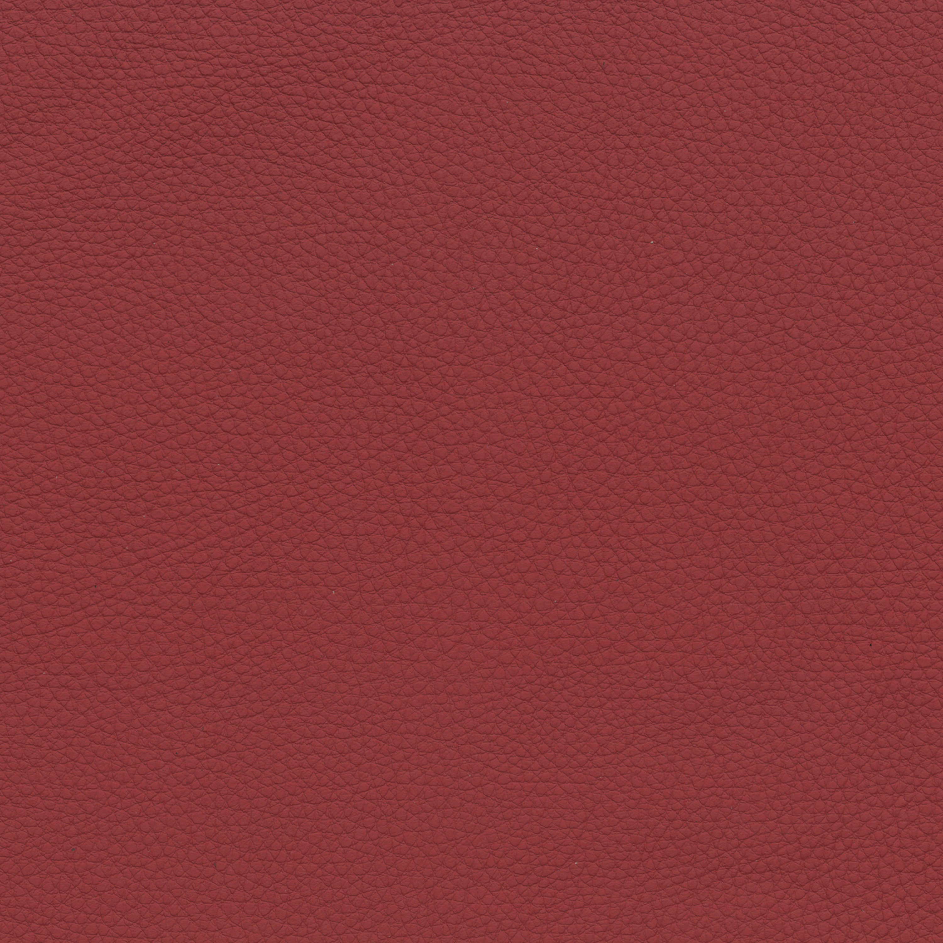  BMW Leder | Dakota korallrot