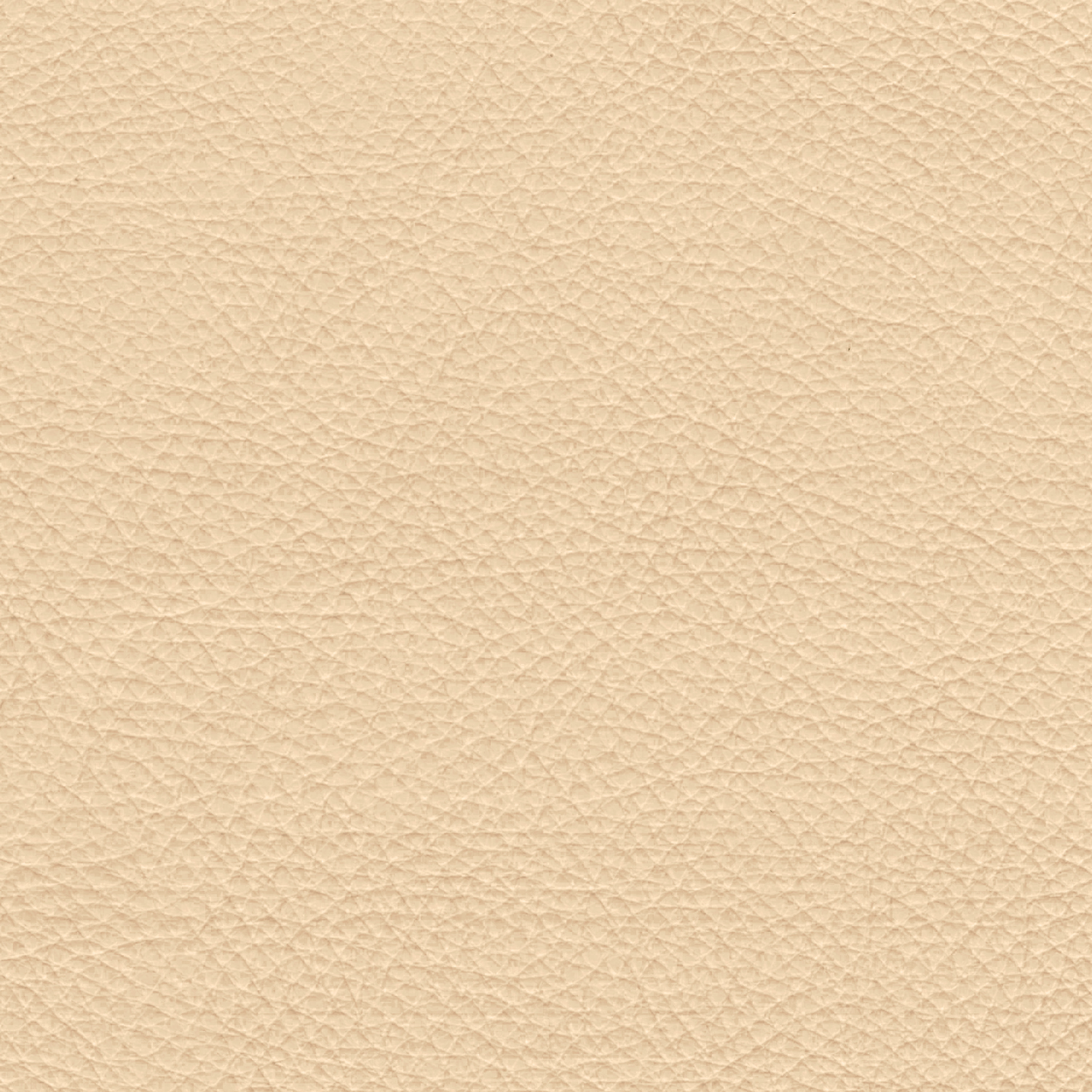  Paris | Rindleder safrangelb