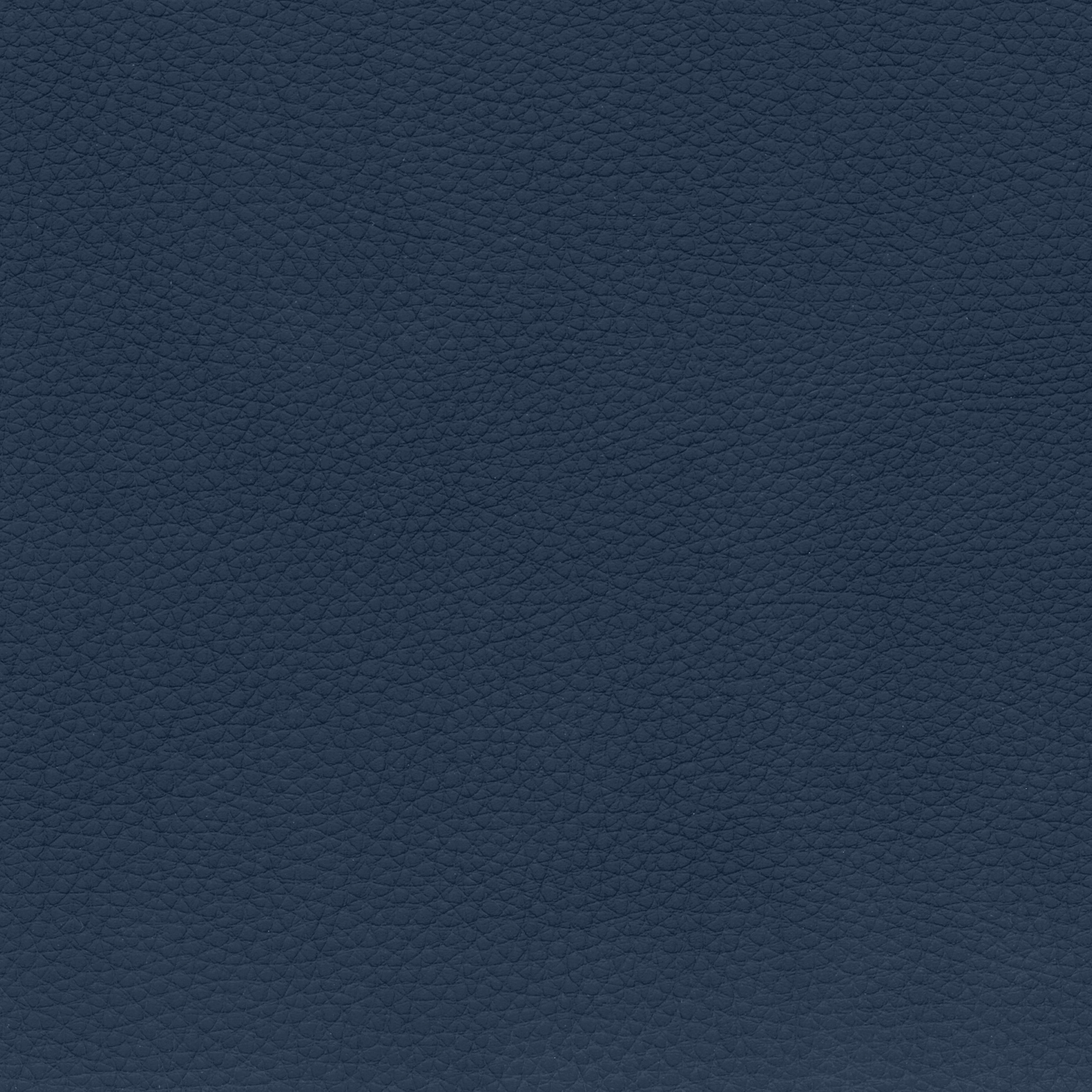  BMW Leder | Dakota tobagoblau