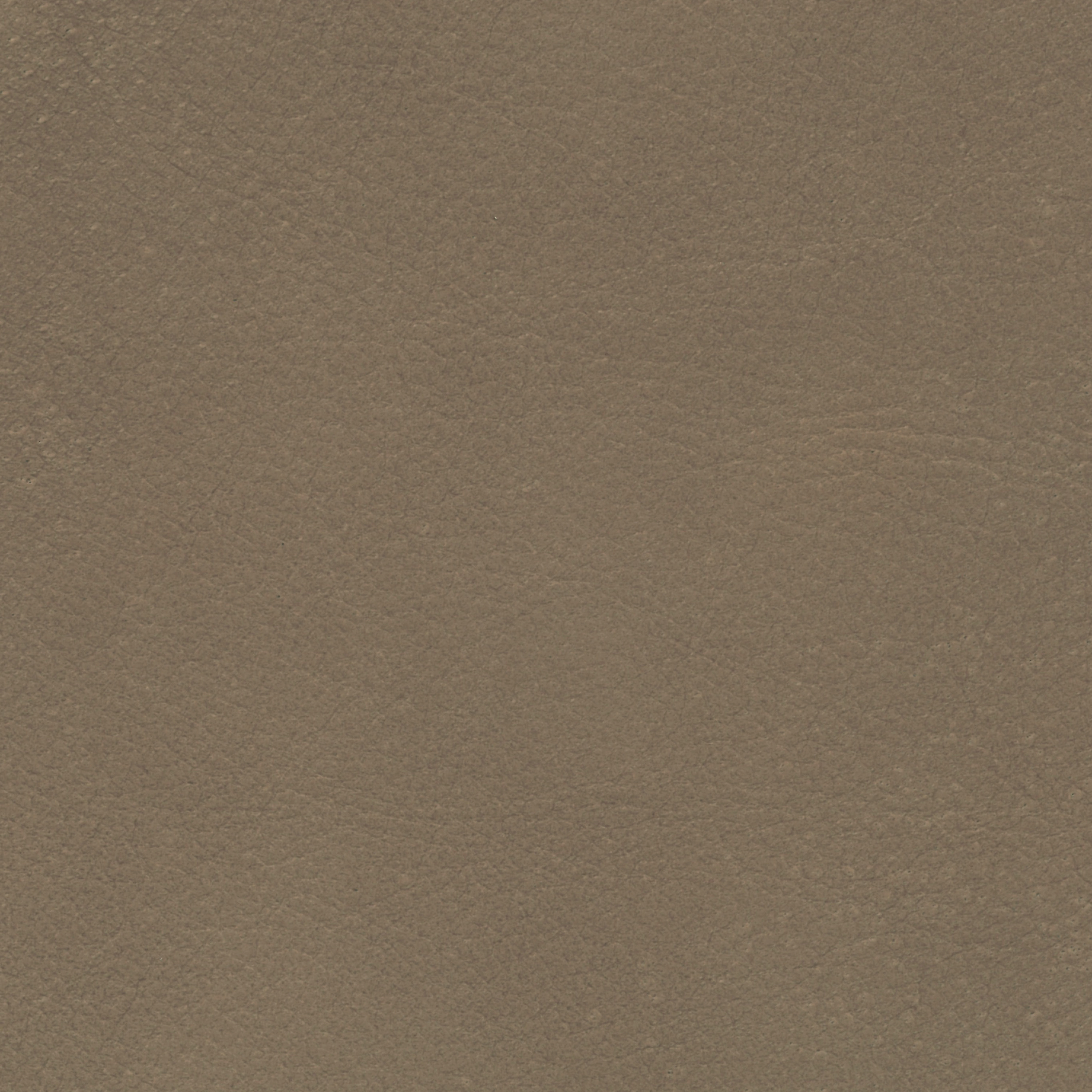  Savanne | Büffelleder gray brown