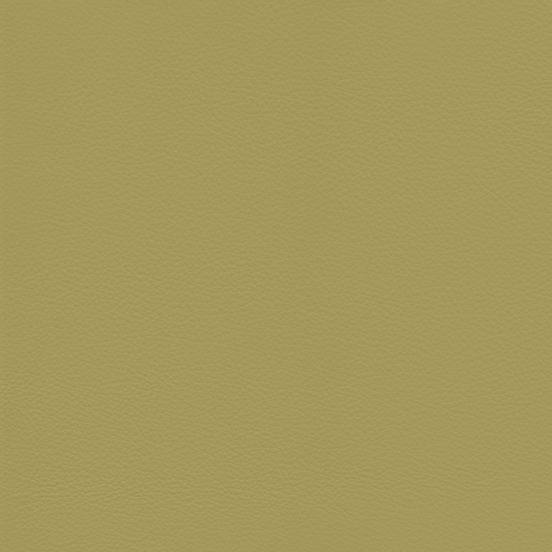  Continental | Rindleder currygrün