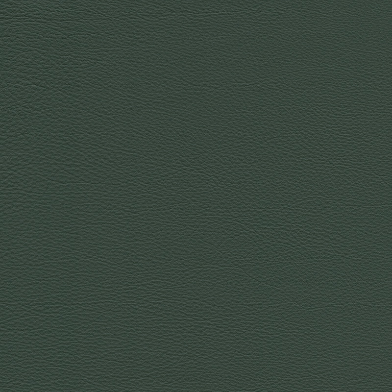  Colorado | Rindleder dunkelgrün