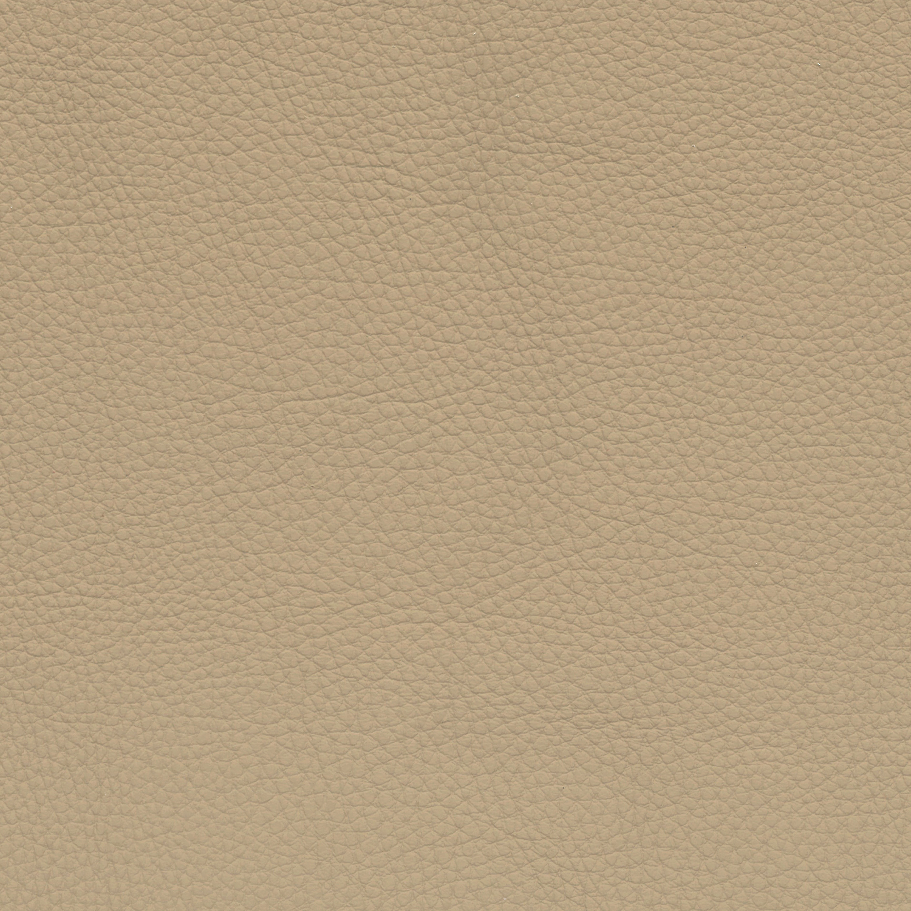  BMW Leder | Dakota beige