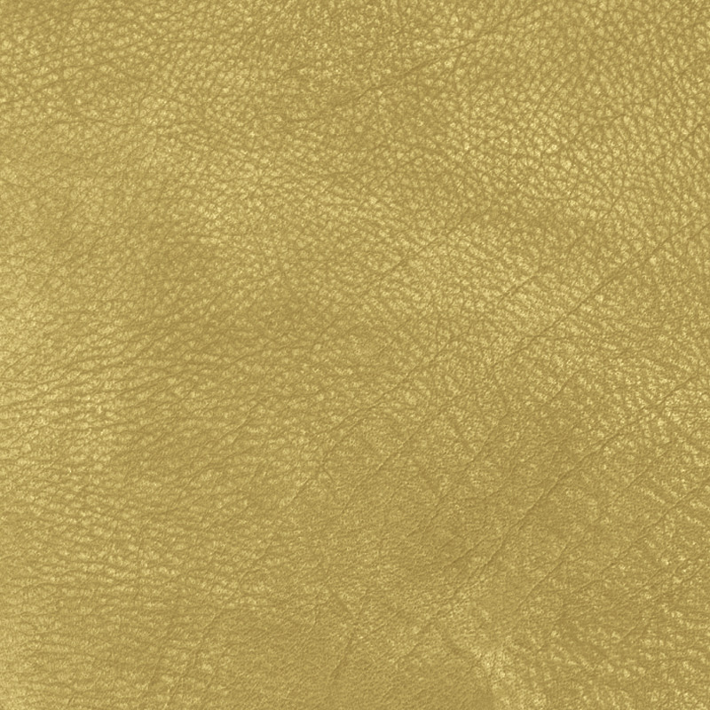  Nevada | Wasserbüffelleder Vintage pistachio