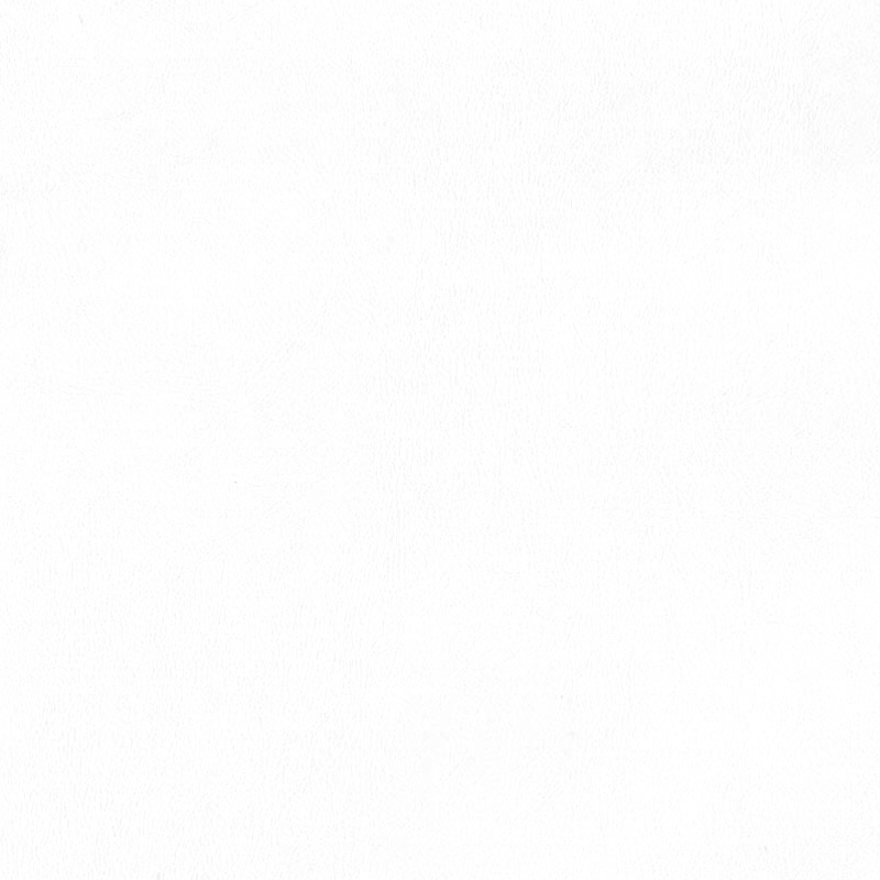  Praxis | Kunstleder pure white