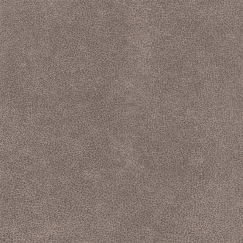  Mojave | Büffelleder umber gray