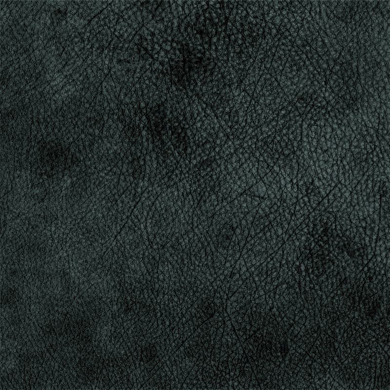  Wild | Wasserbüffelleder gray black