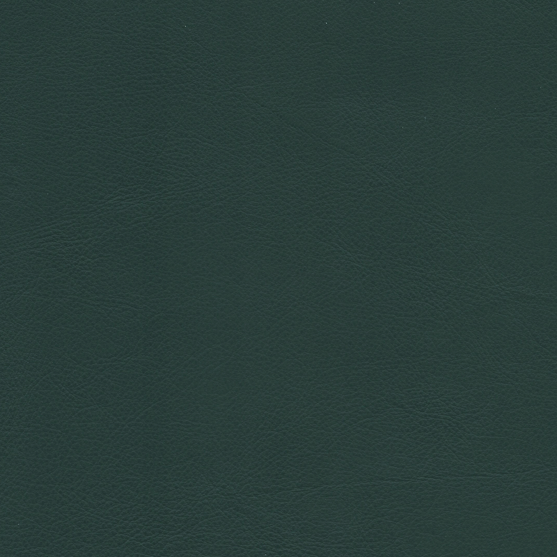  Continental | Rindleder schwarz grün