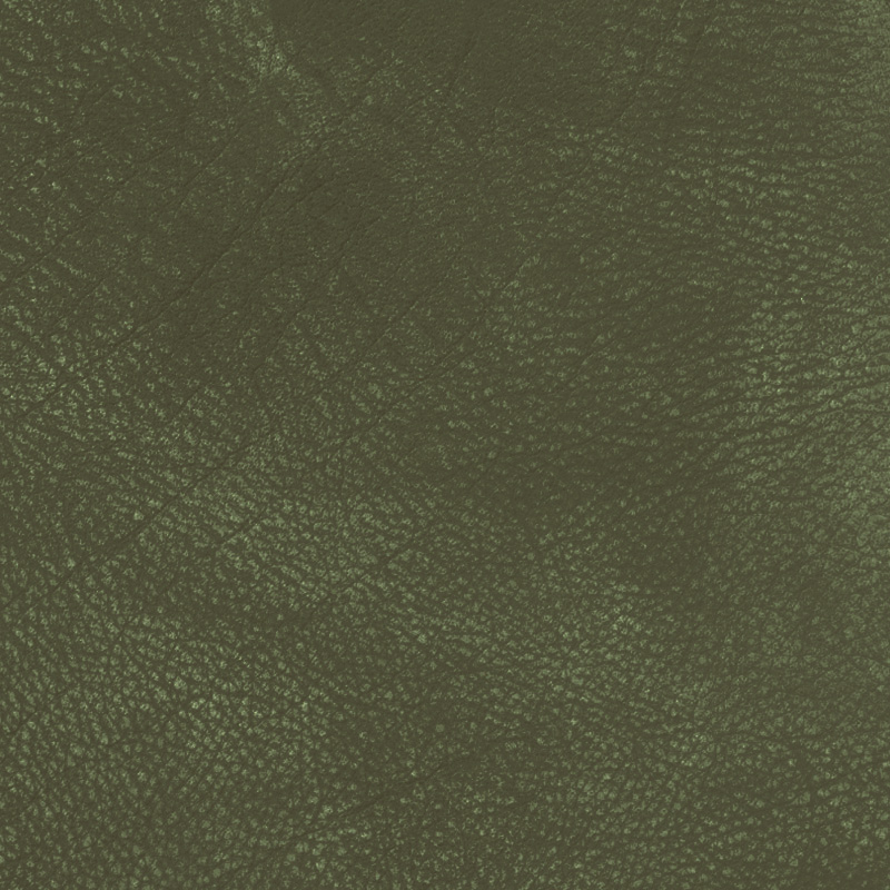  Nevada | Wasserbüffelleder Vintage moss