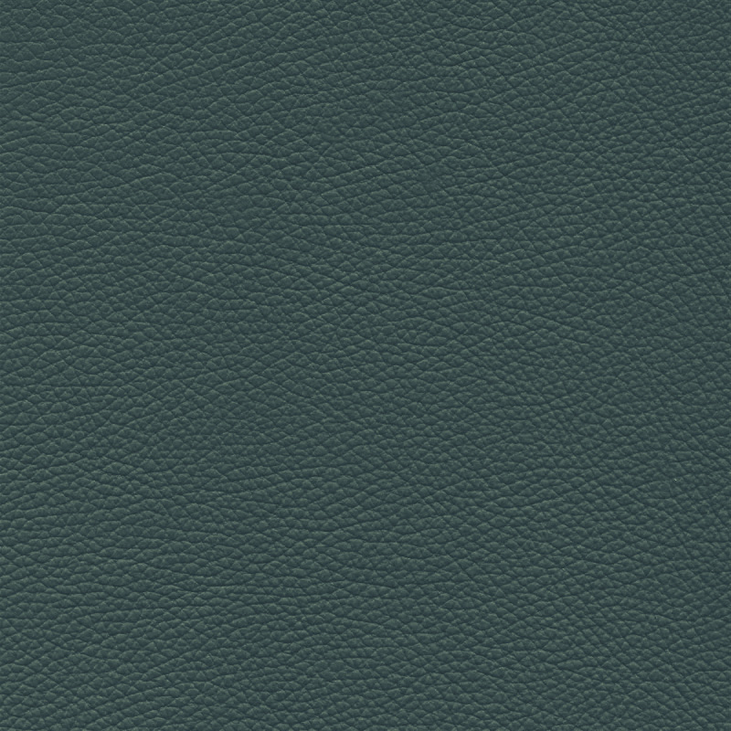  Frisco | Echtes Rindsleder anthracite green