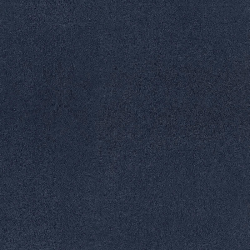  Boot & Yacht | Kunstleder royal blue