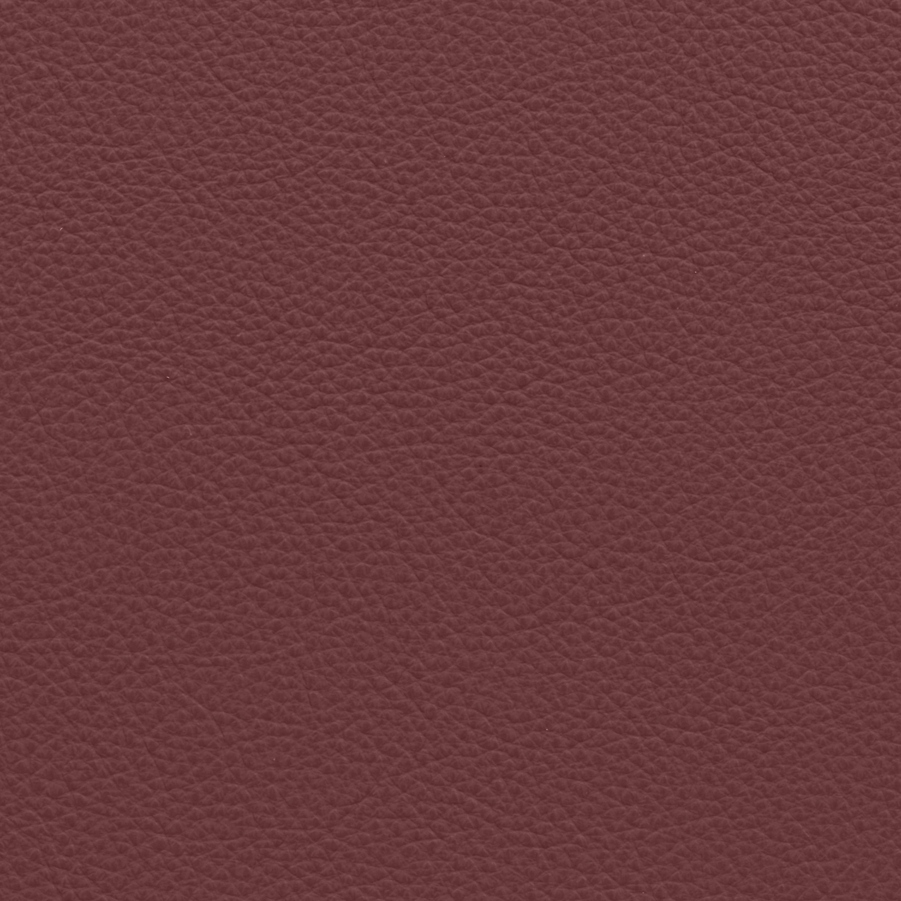  Paris | Rindleder rotbraun 3