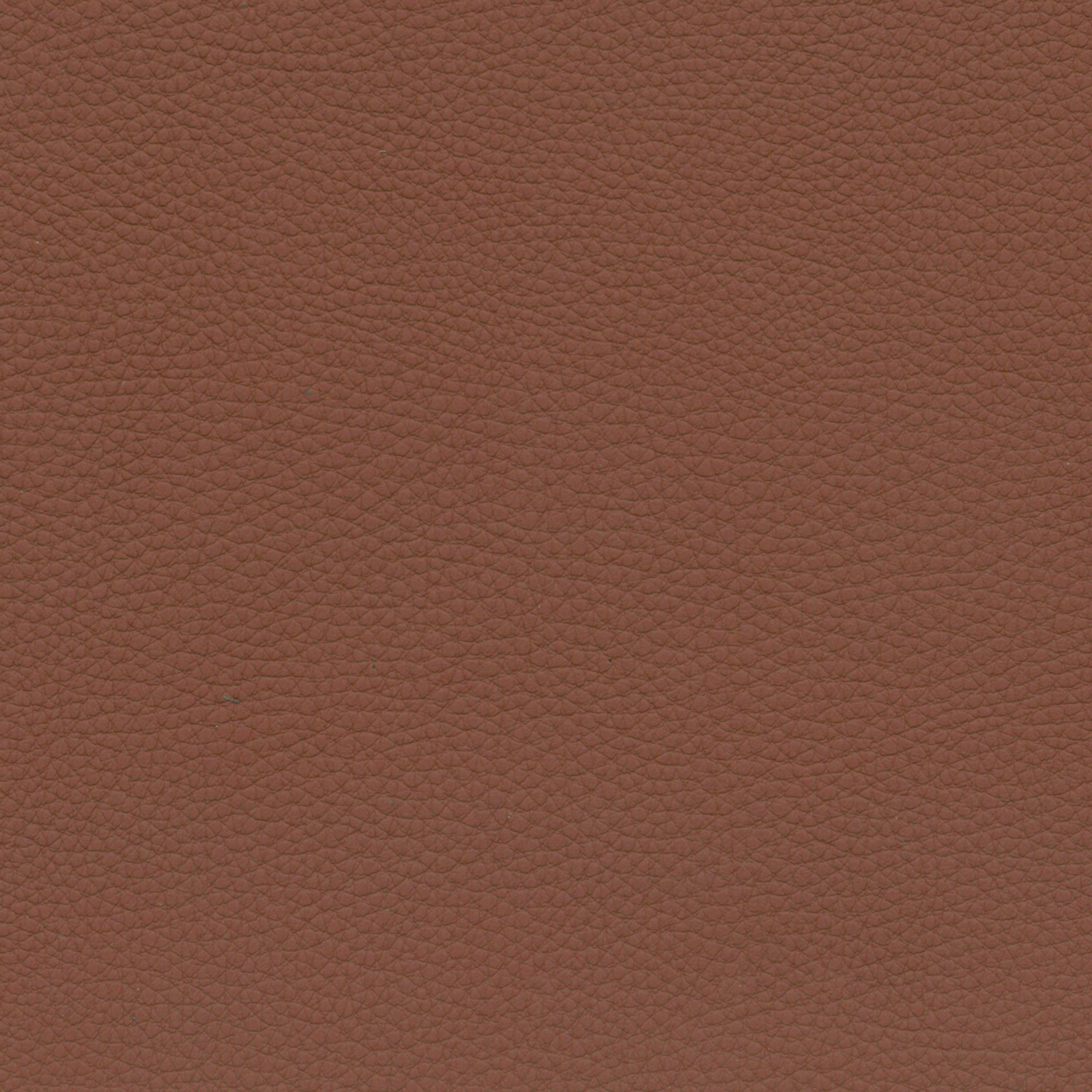  Mercedes Benz Lugano | Autoleder sattelbraun