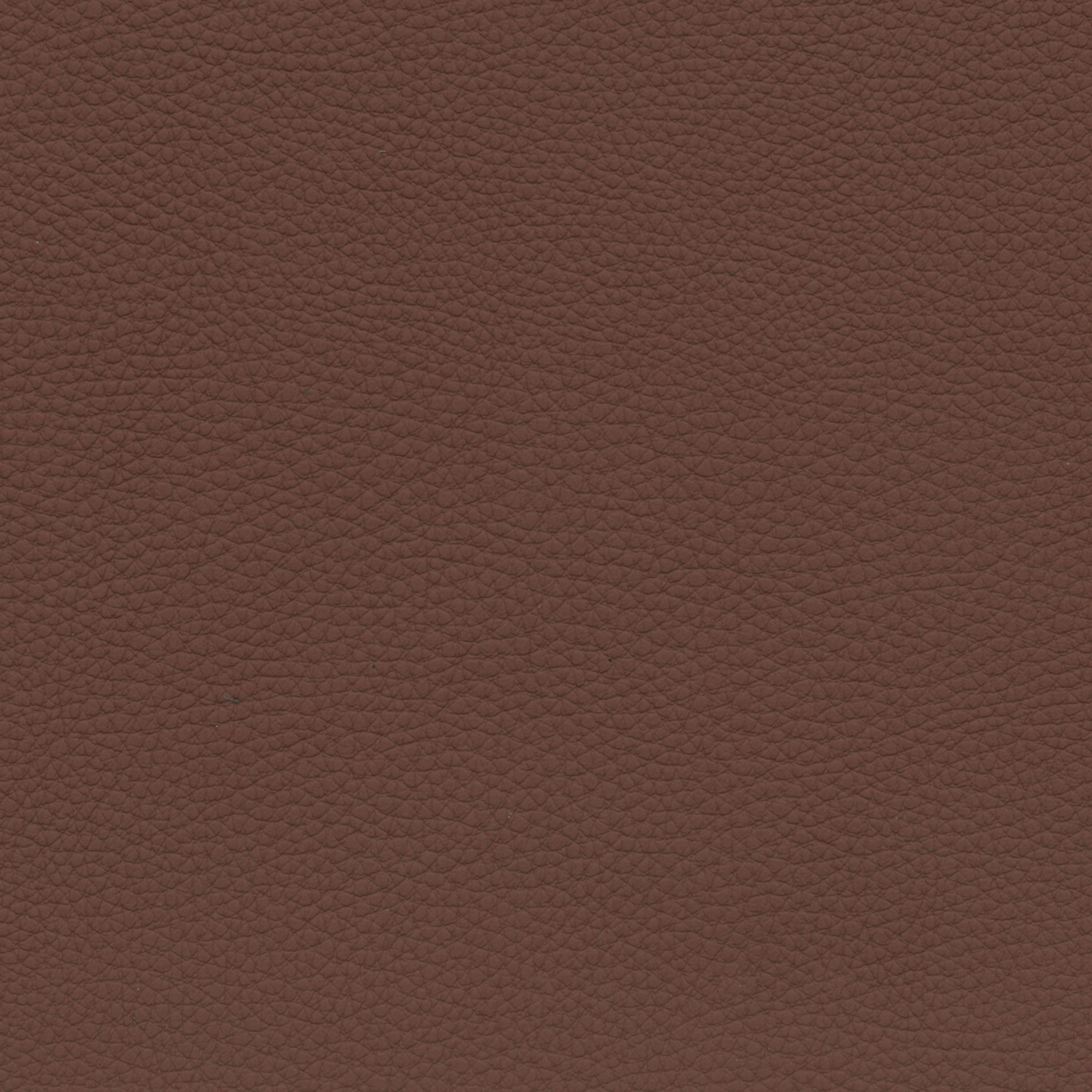  BMW Leder | Dakota kastanienbraun