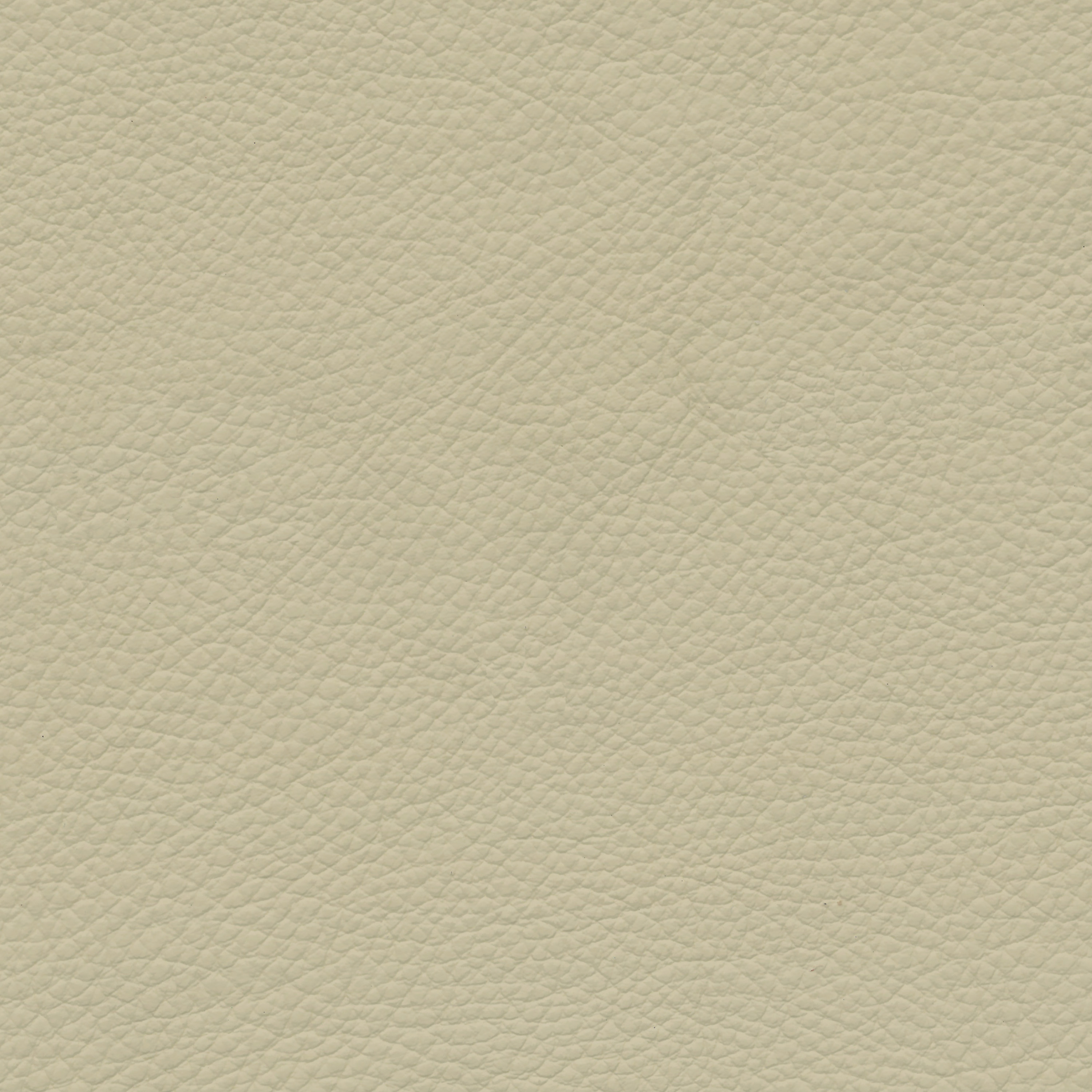  BMW Leder | Dakota lemon V2