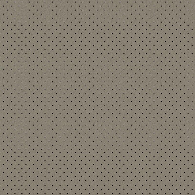  Perforiertes Autoleder | Oldtimerleder champignon