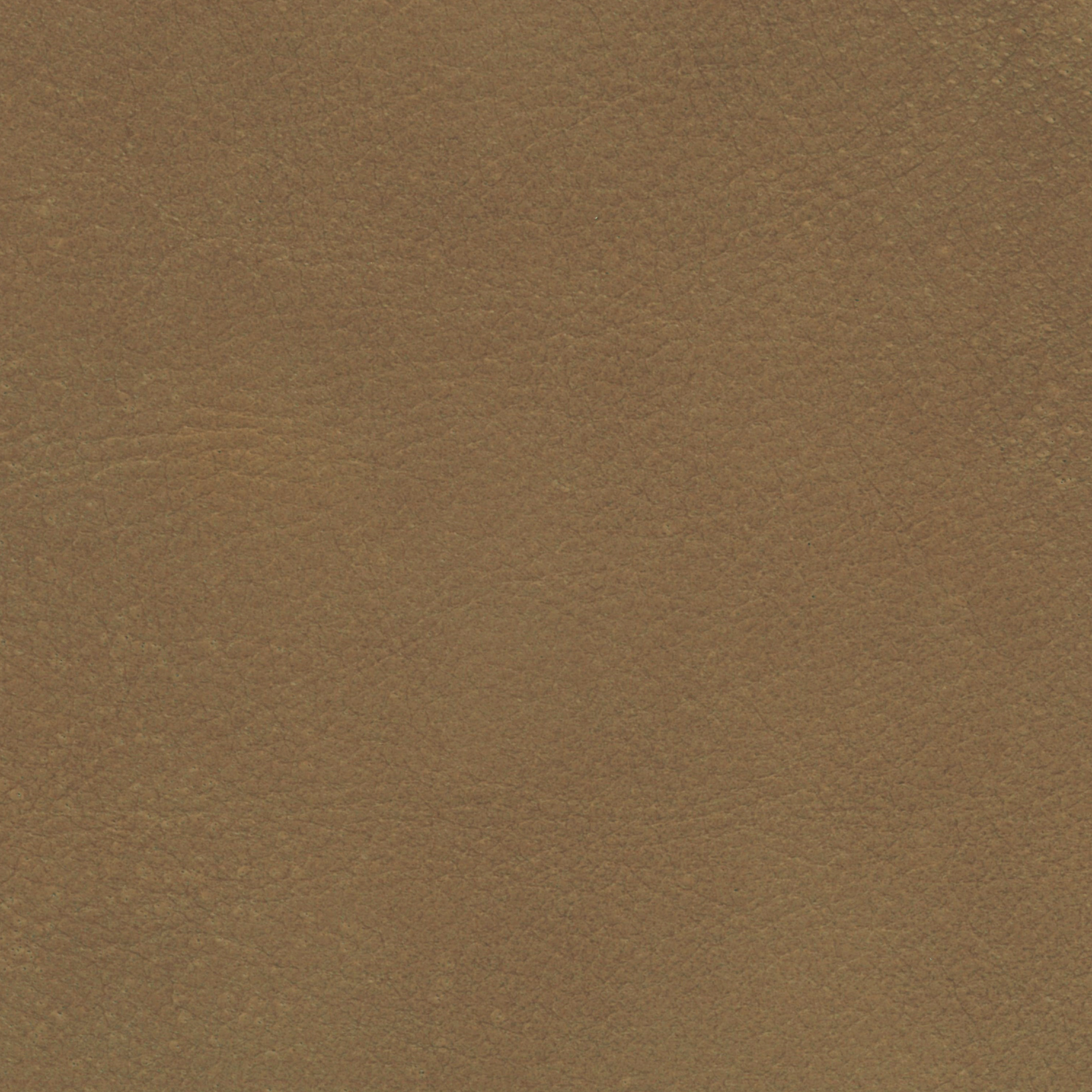  Savanne | Büffelleder brown beige