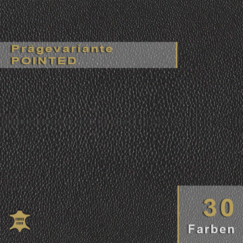 Design-Leder Pointed Geprägtes Echtleder in Pointed-Optik mit moderner Pünktchen-Struktur.