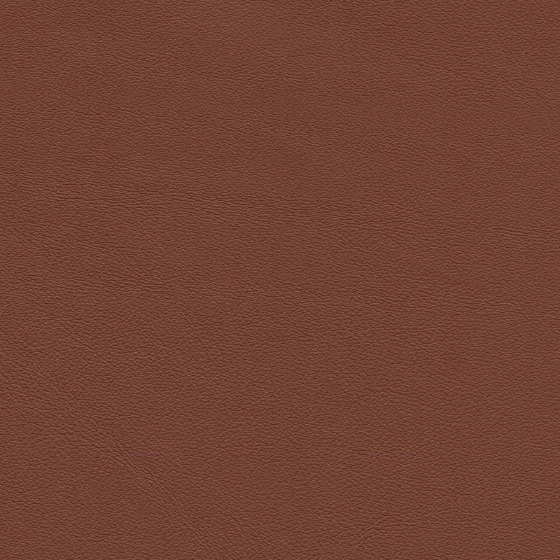  Colorado | Rindleder copper brown