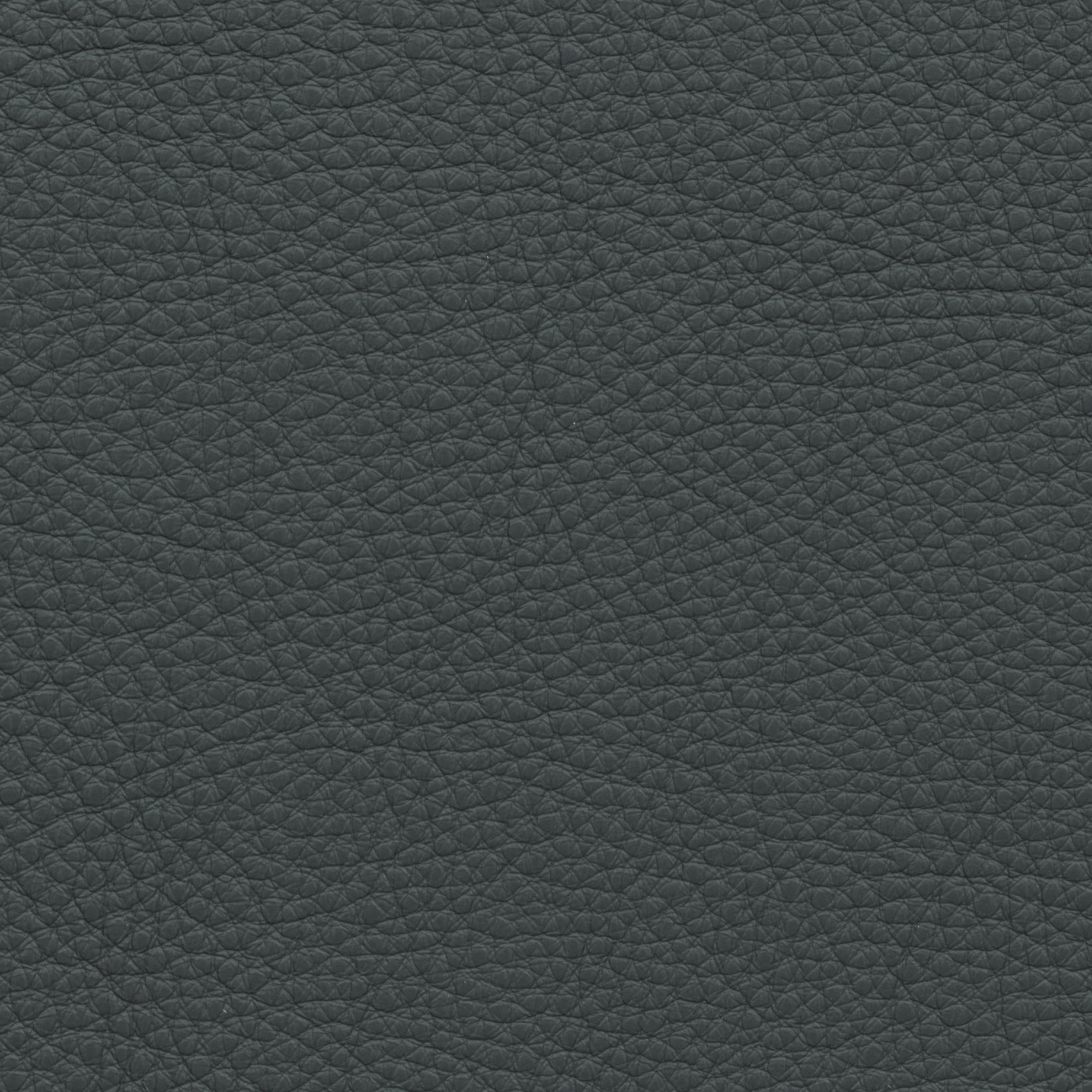  Paris | Rindleder blaugrau