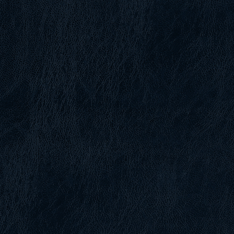  Praxis | Kunstleder steel blue