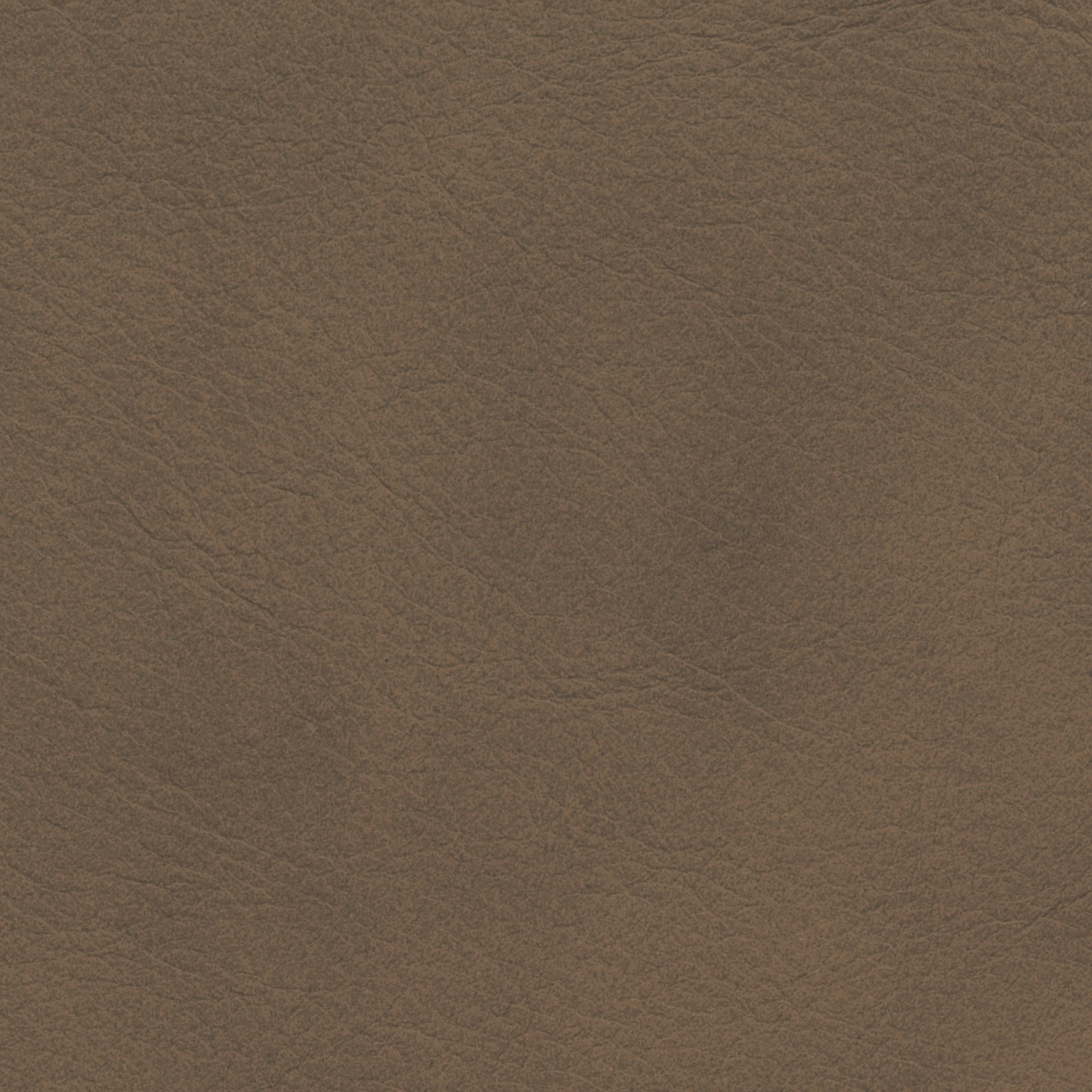  Savanne | Büffelleder peanut