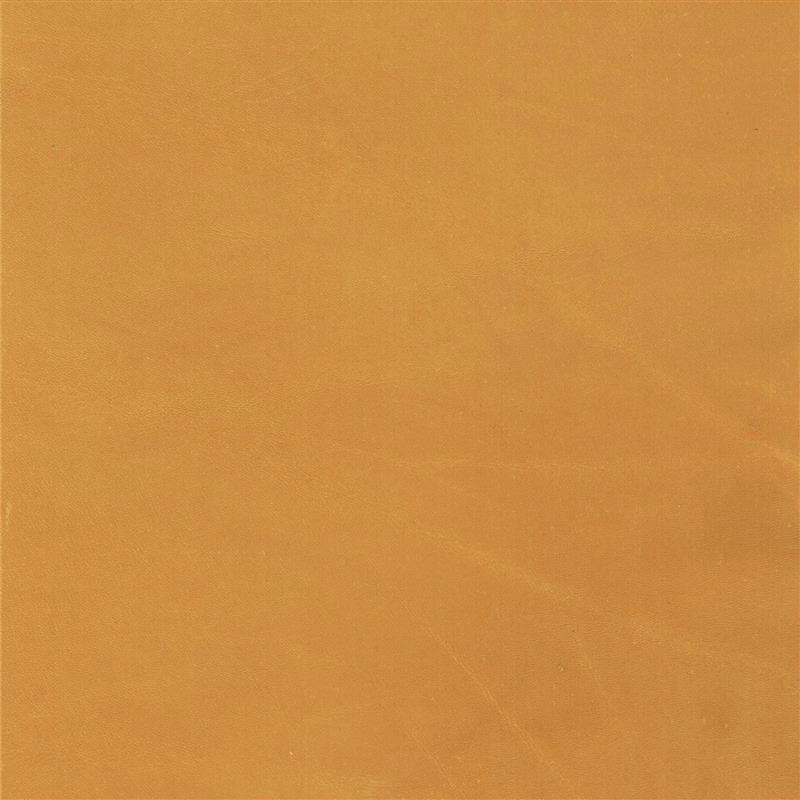  Verginia | Pullup gold orange