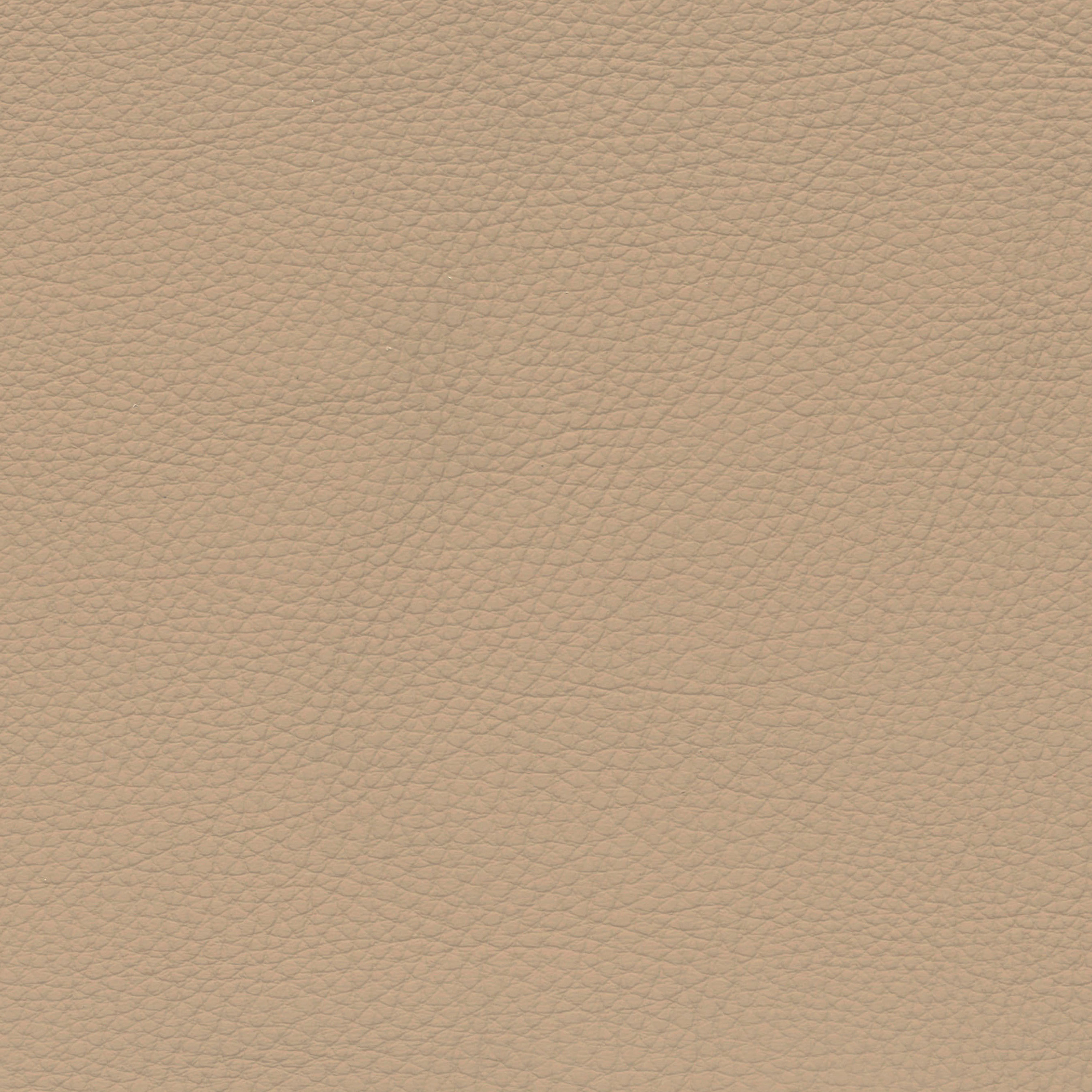  BMW Leder | Dakota venetobeige V3