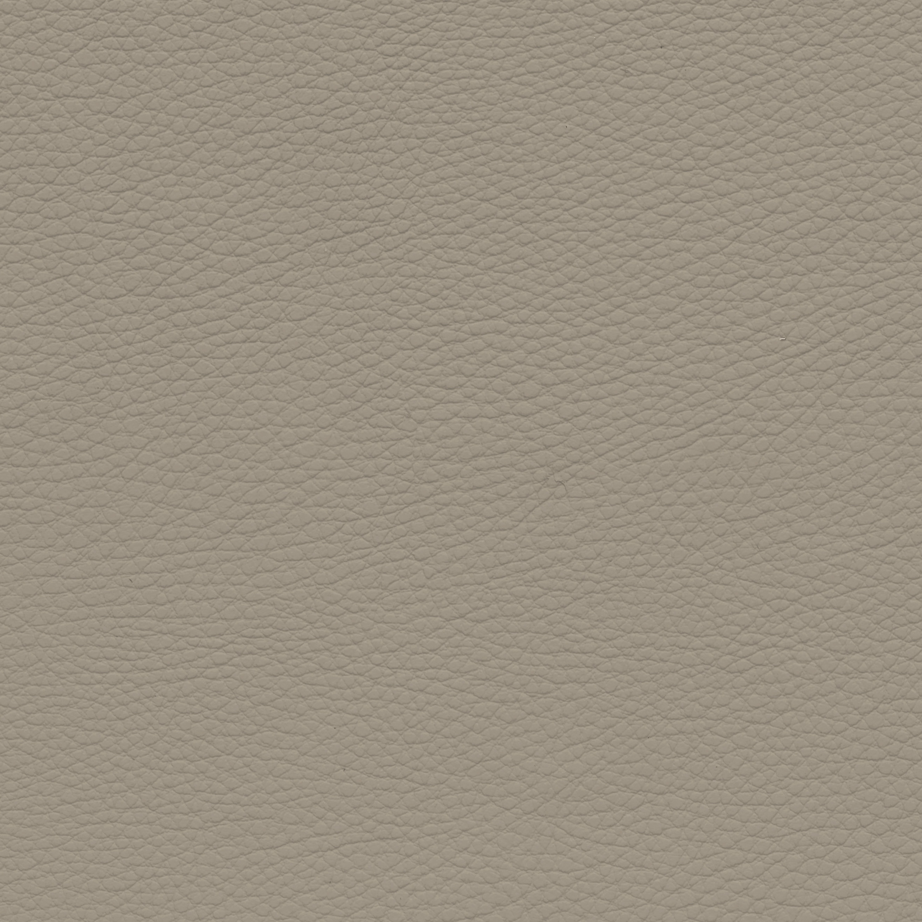  BMW Leder | Dakota oyster