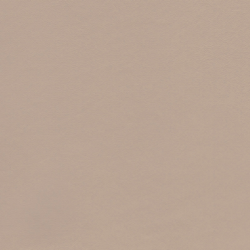  Original Audi Valcona | Autoleder kardamonbeige V2