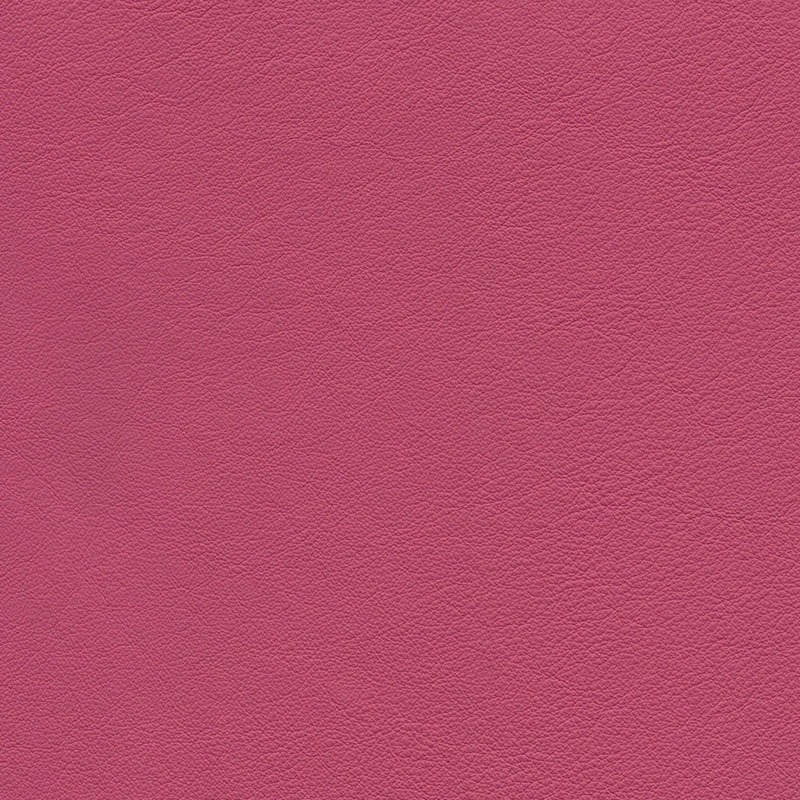  Colorado | Rindleder pinki