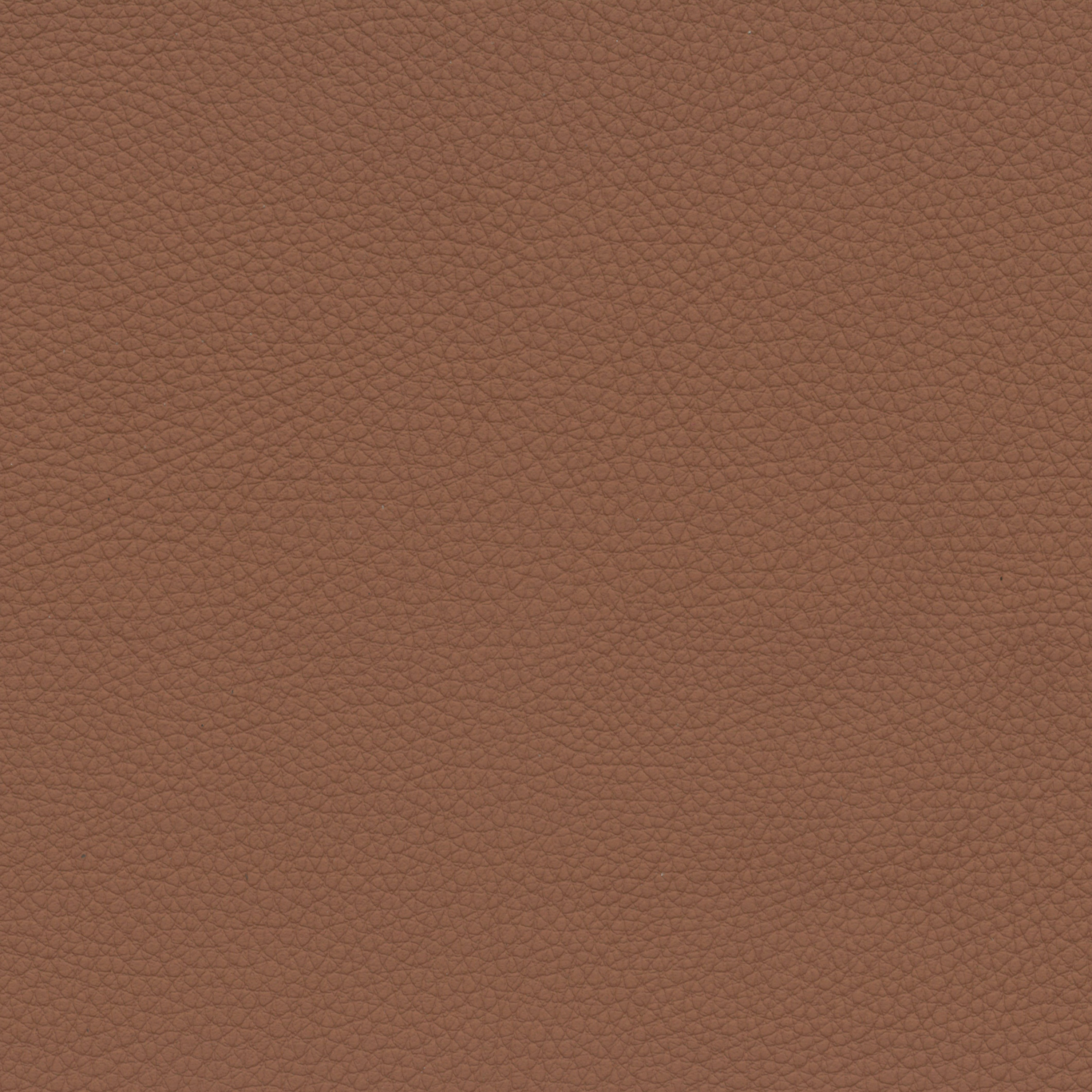  BMW Leder | Dakota cognac V2